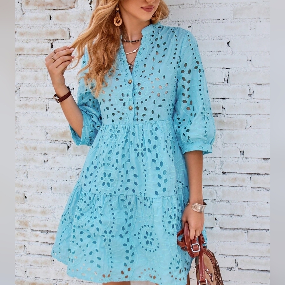 Eyelet Embroidery Button Front Smock Dress - Picture 1 of 5